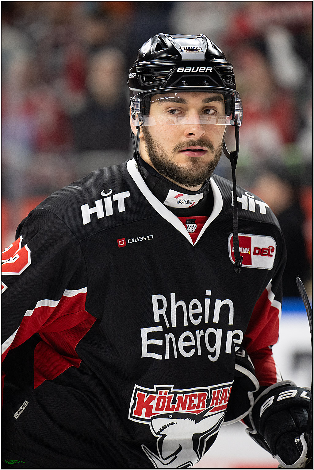 PENNY DEL; Koelner Haie-Duesseldorfer EG ; Koeln, 16.02.2025